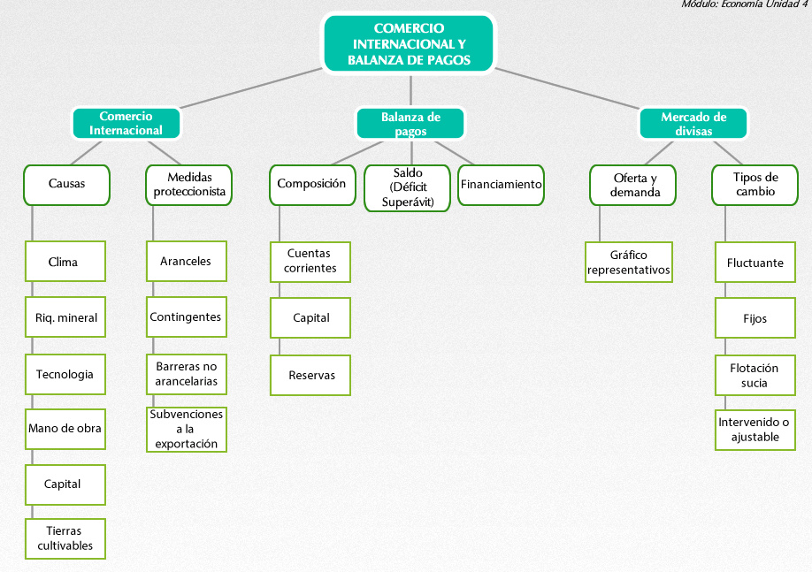 Mapa resúmen de la unidad 4