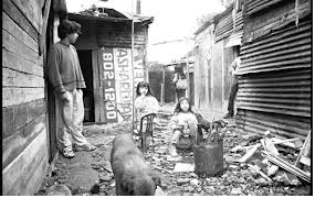 tres niños y un perro rodeados de basura en el patio de una villa