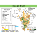 Cultivo y producción de soja en Brasil.