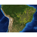 El cerrado. Esta región natural limita al norte con la región de la Amazonia y al oeste y suroeste con el Gran Chaco respecto al cual mantiene grandes semejanzas florifaunísticas y paisajísticas.
