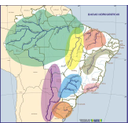 Cuencas del Amazonas y del Plata