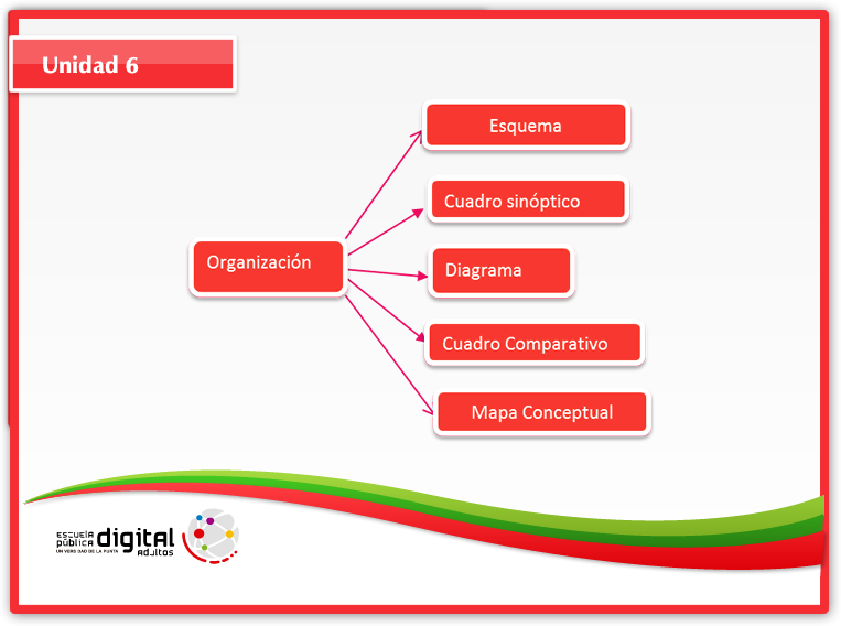 Organización: esquema, cuadro sinóptico, diafragma, cuadro comparativo y mapa conceptual